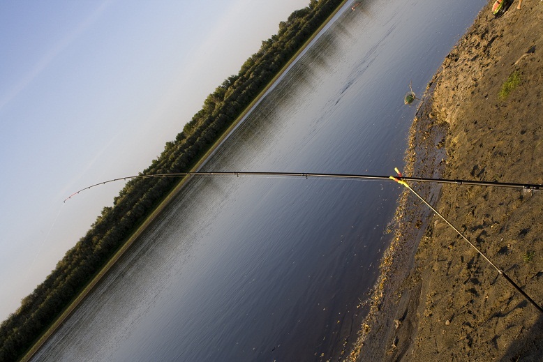 Отчет о рыбалке на реке Тура, Фидерная ловля.