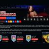 Обзор сайта http://multigaminatorslot.com/