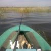 Рыбалка в озерах и прудах Челябинской области
